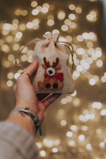 A festive tote bag decorated with colorful Christmas lights and ornaments, hanging on a rustic wooden door.