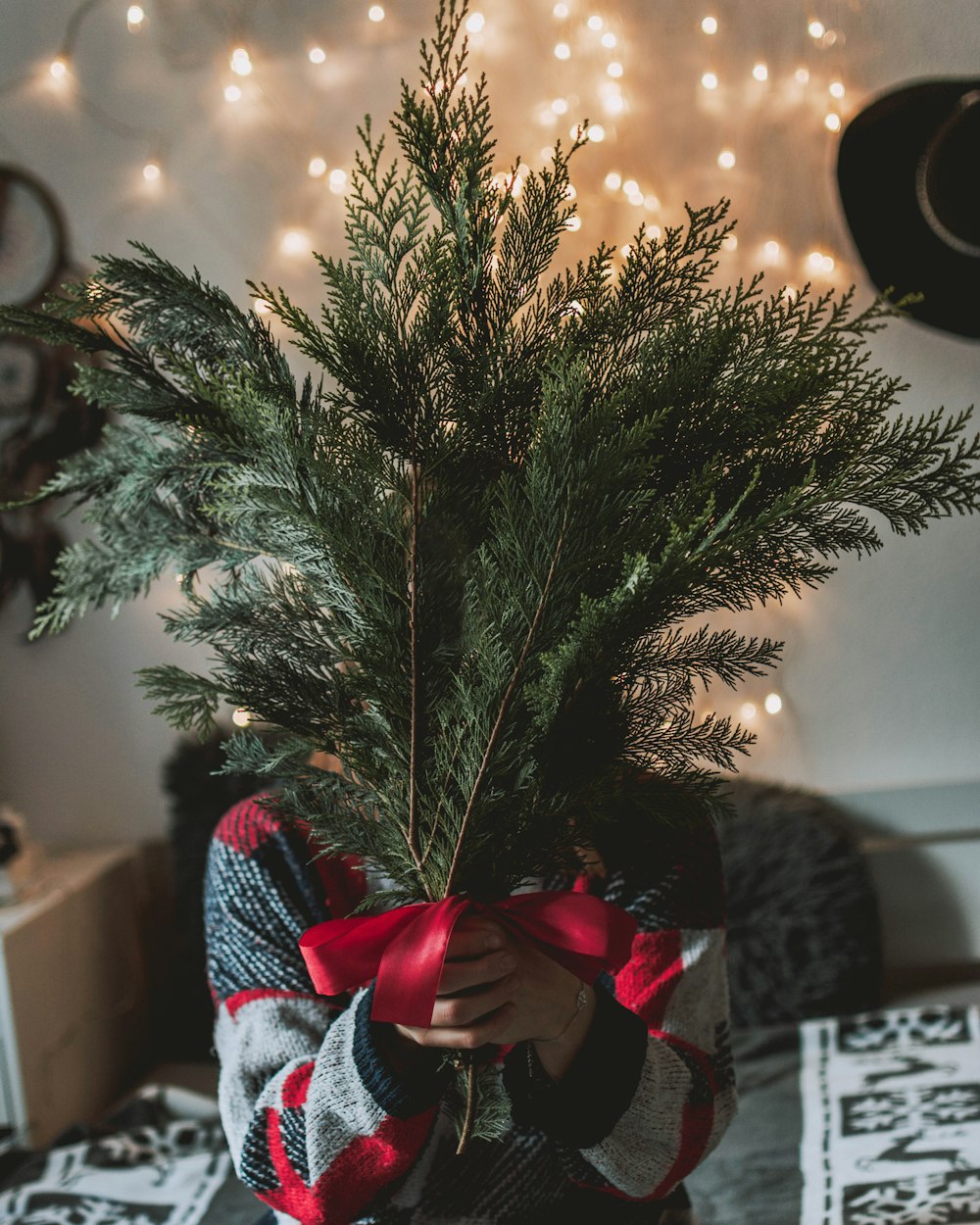 person holding green plant