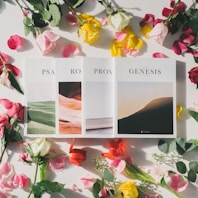 Genesis and Proverbs book
