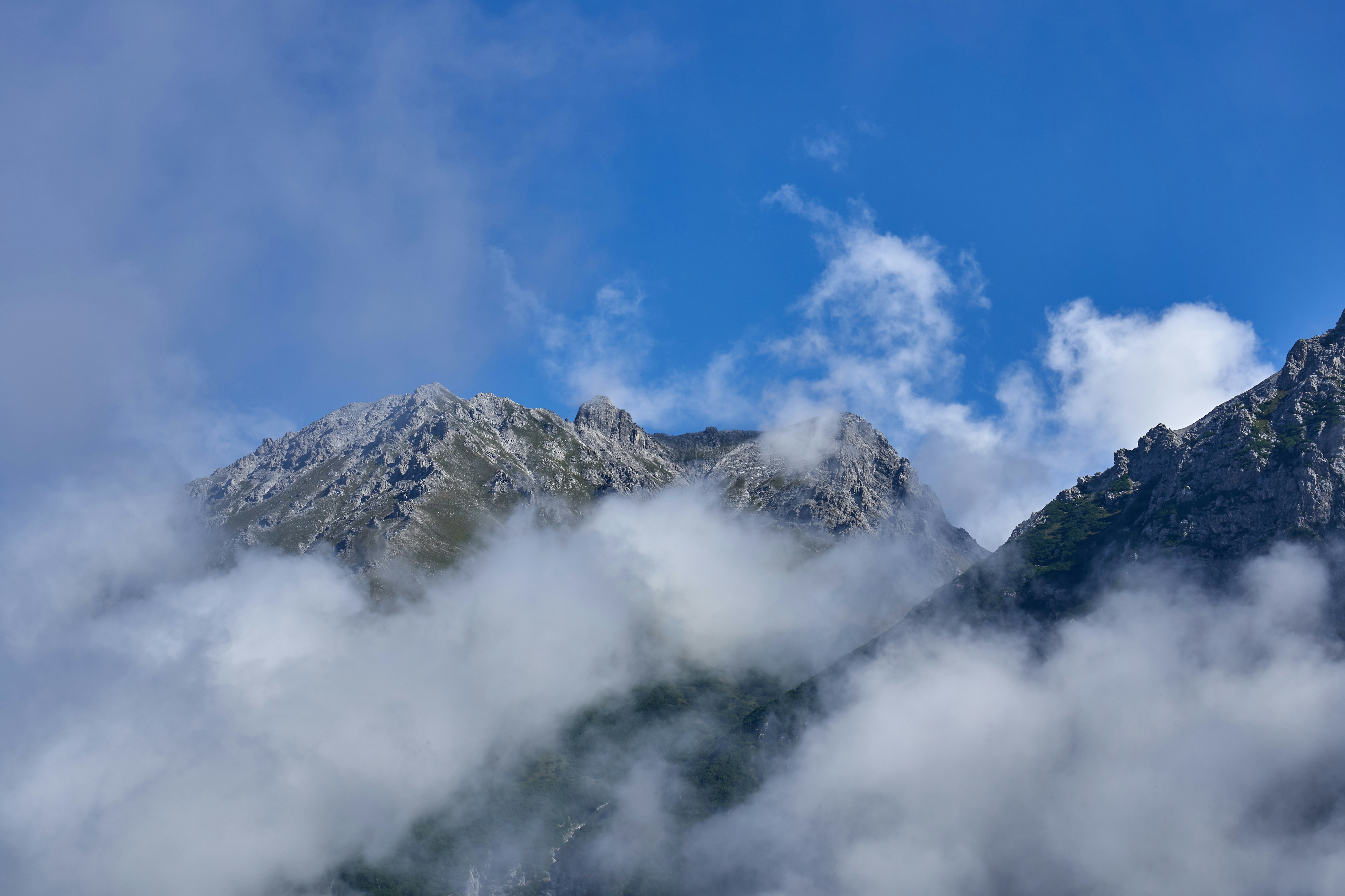 Photo by wolfgang_hasselmann