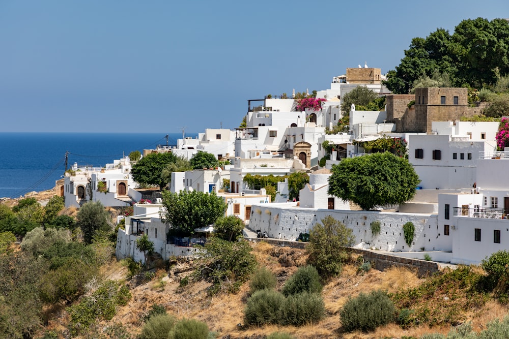 buildings near body of water during daytime