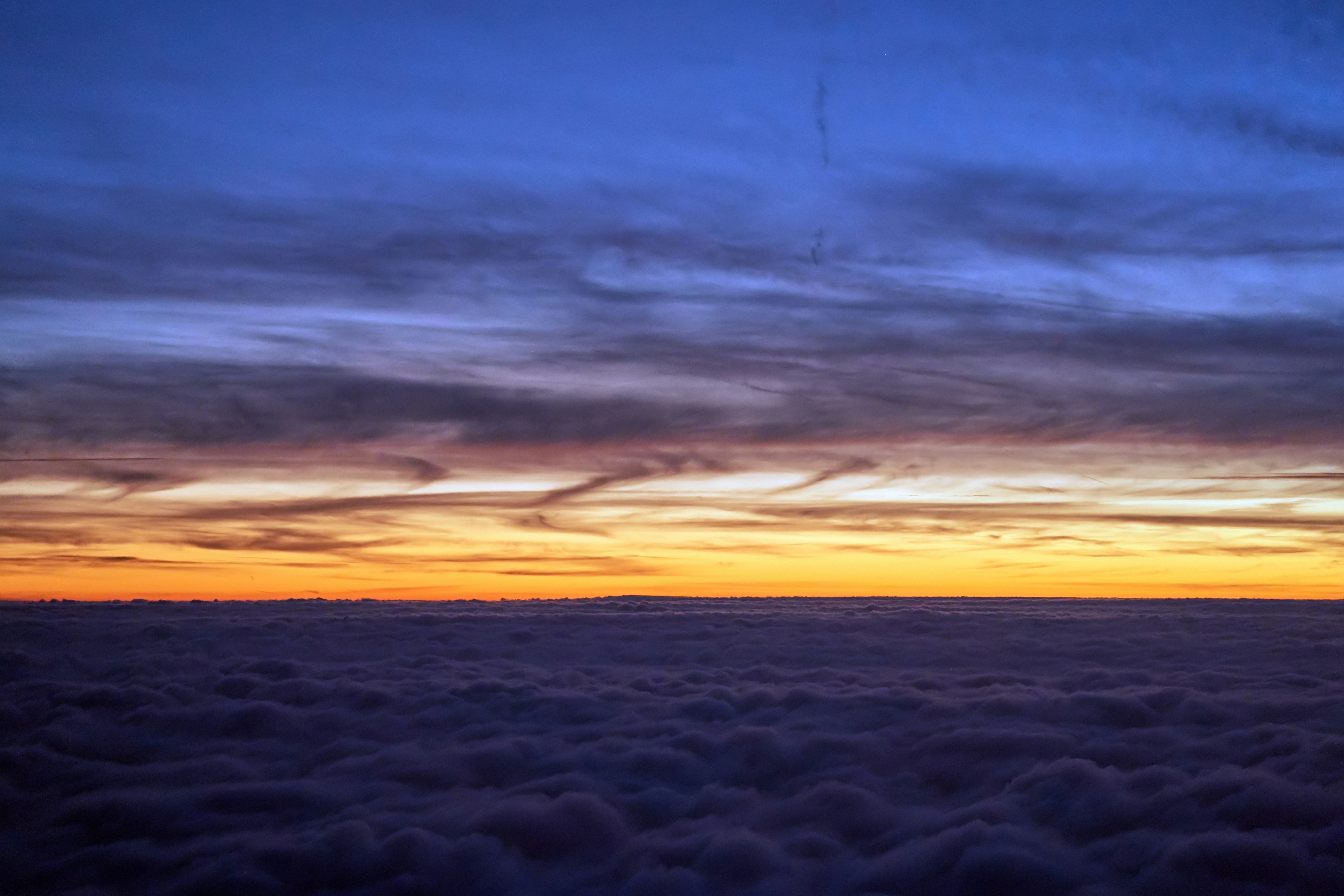 Photo by wolfgang_hasselmann