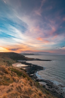 aerial photo of beach
