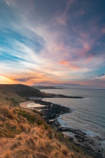 aerial photo of beach