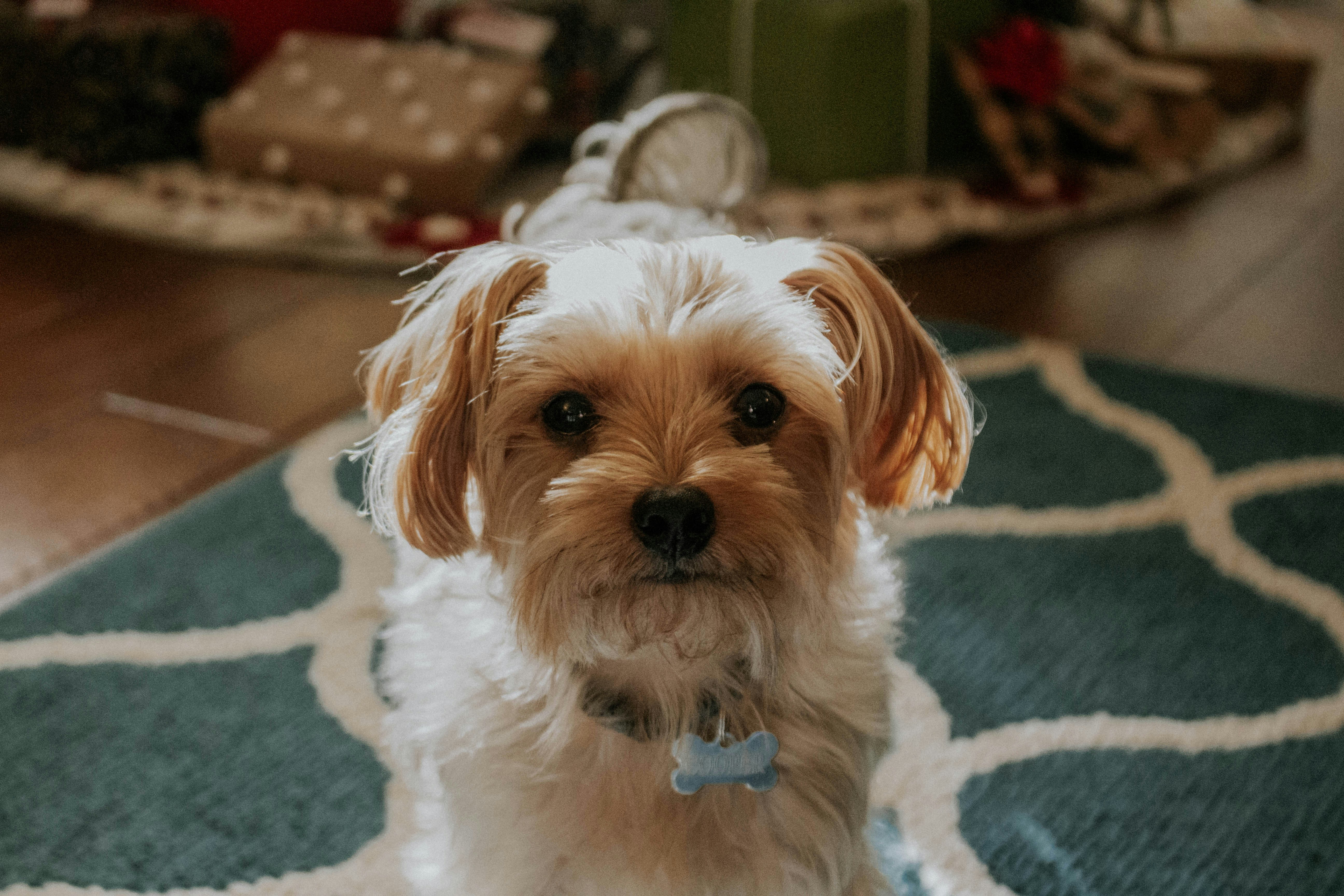 Photo by thewildflowerpress