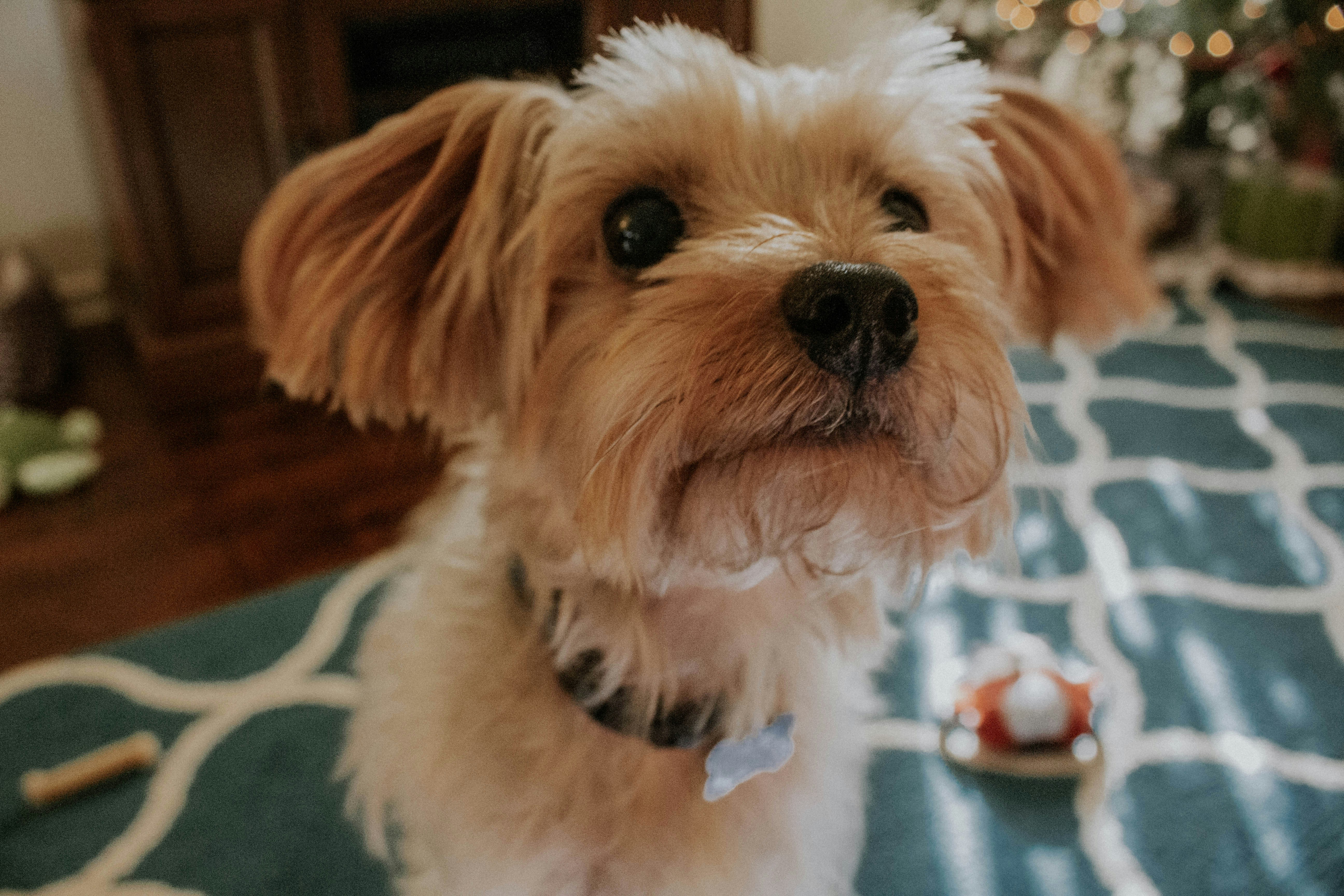 Photo by thewildflowerpress