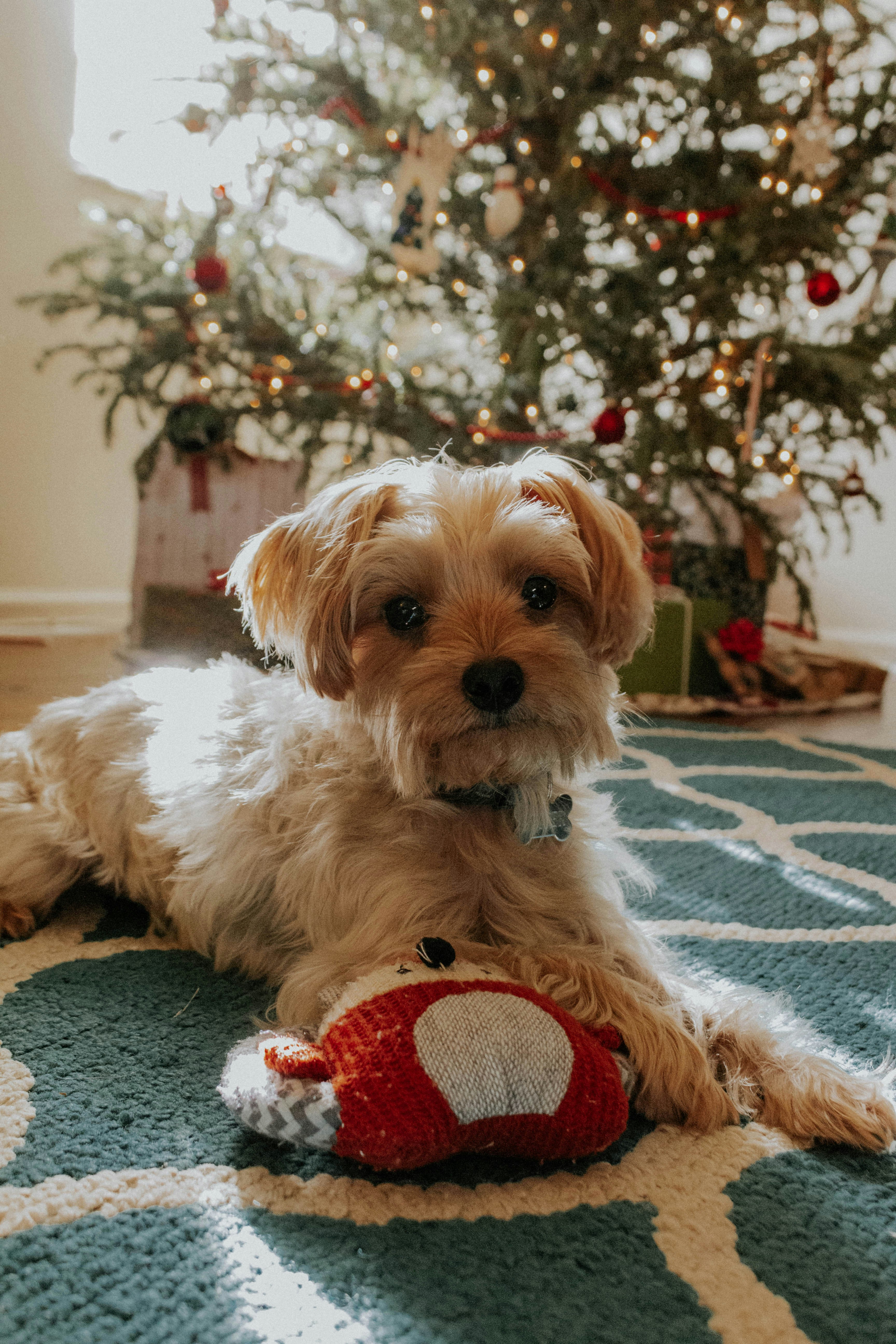 Photo by thewildflowerpress