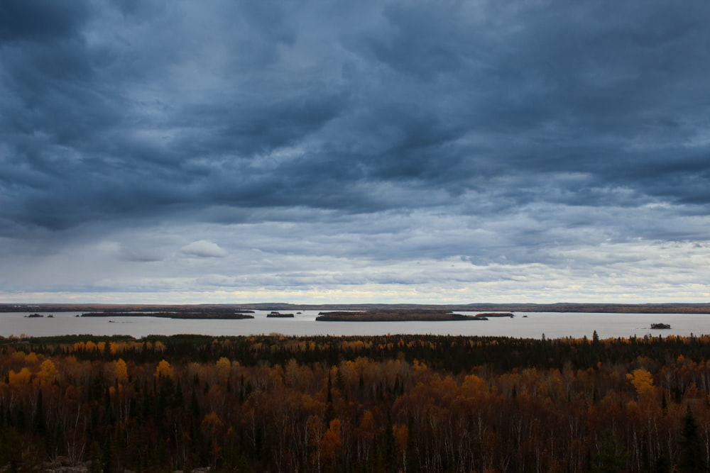 a large body of water surrounded by trees