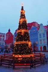 Children decorating a large Christmas tree in the town square.