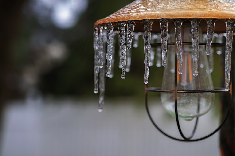 selective focus photography of melting ice on lamp