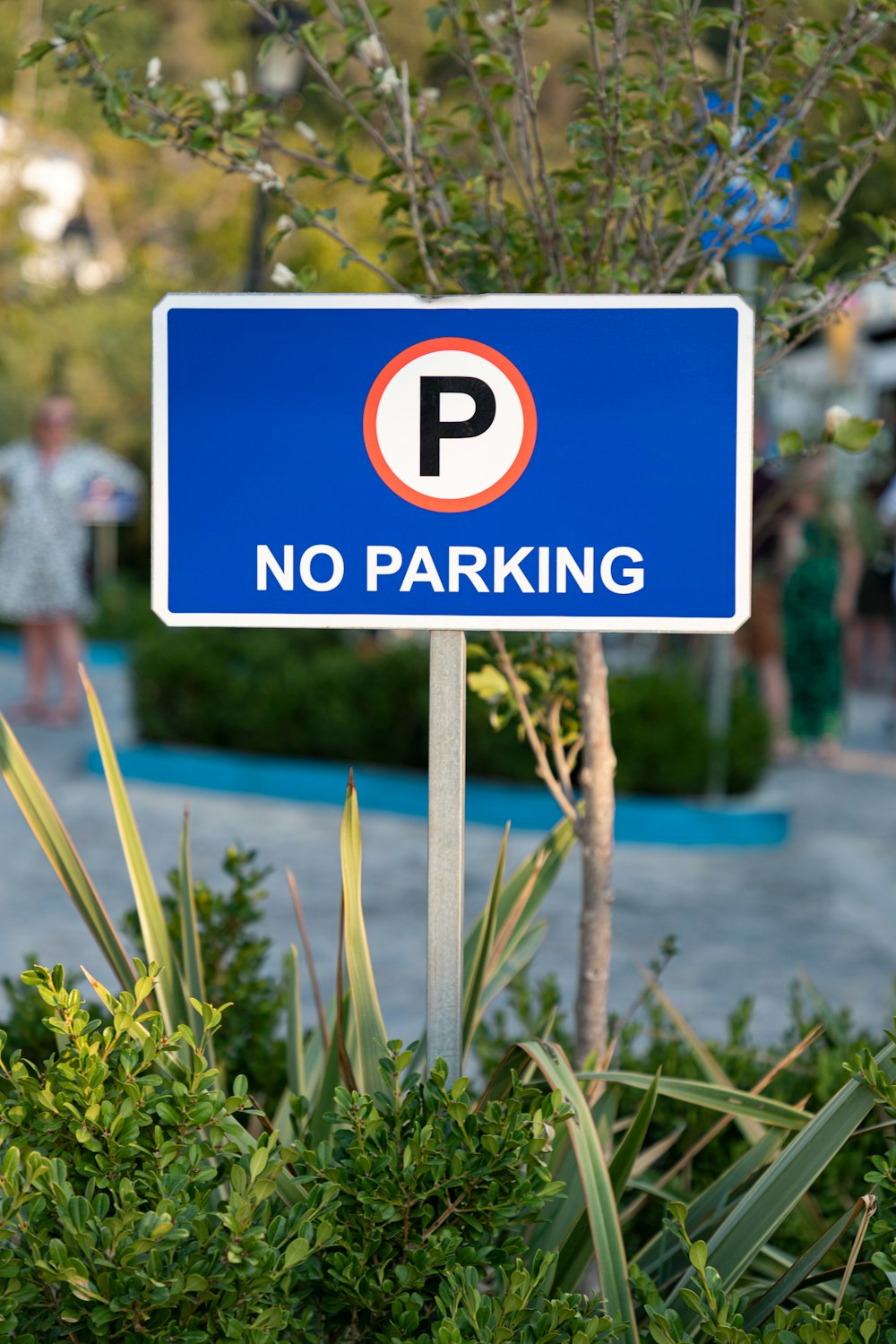 a blue parking sign that says no parking