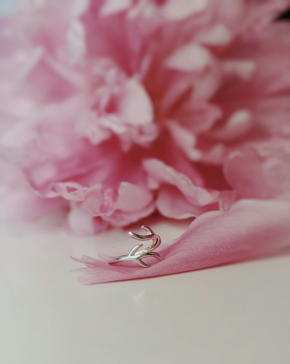 selective focus photography of pink petaled flowers