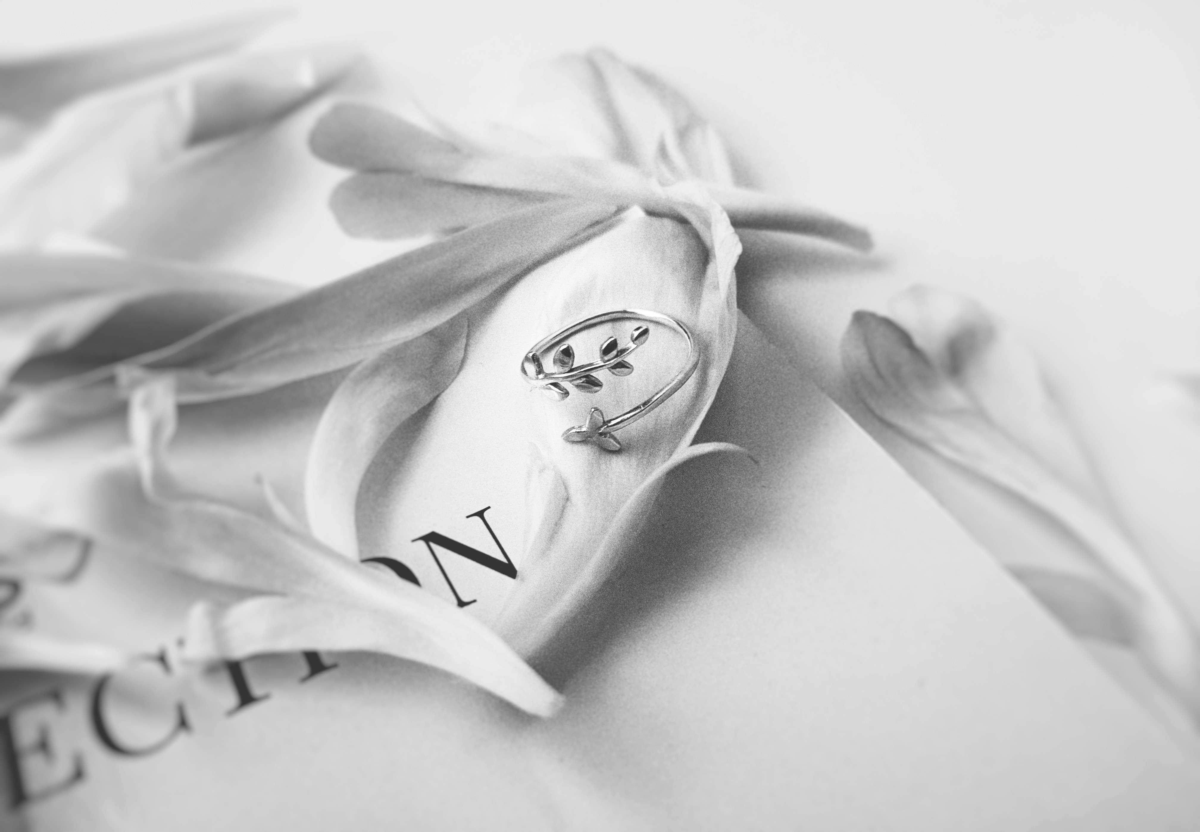 Photo by valeriiamiller