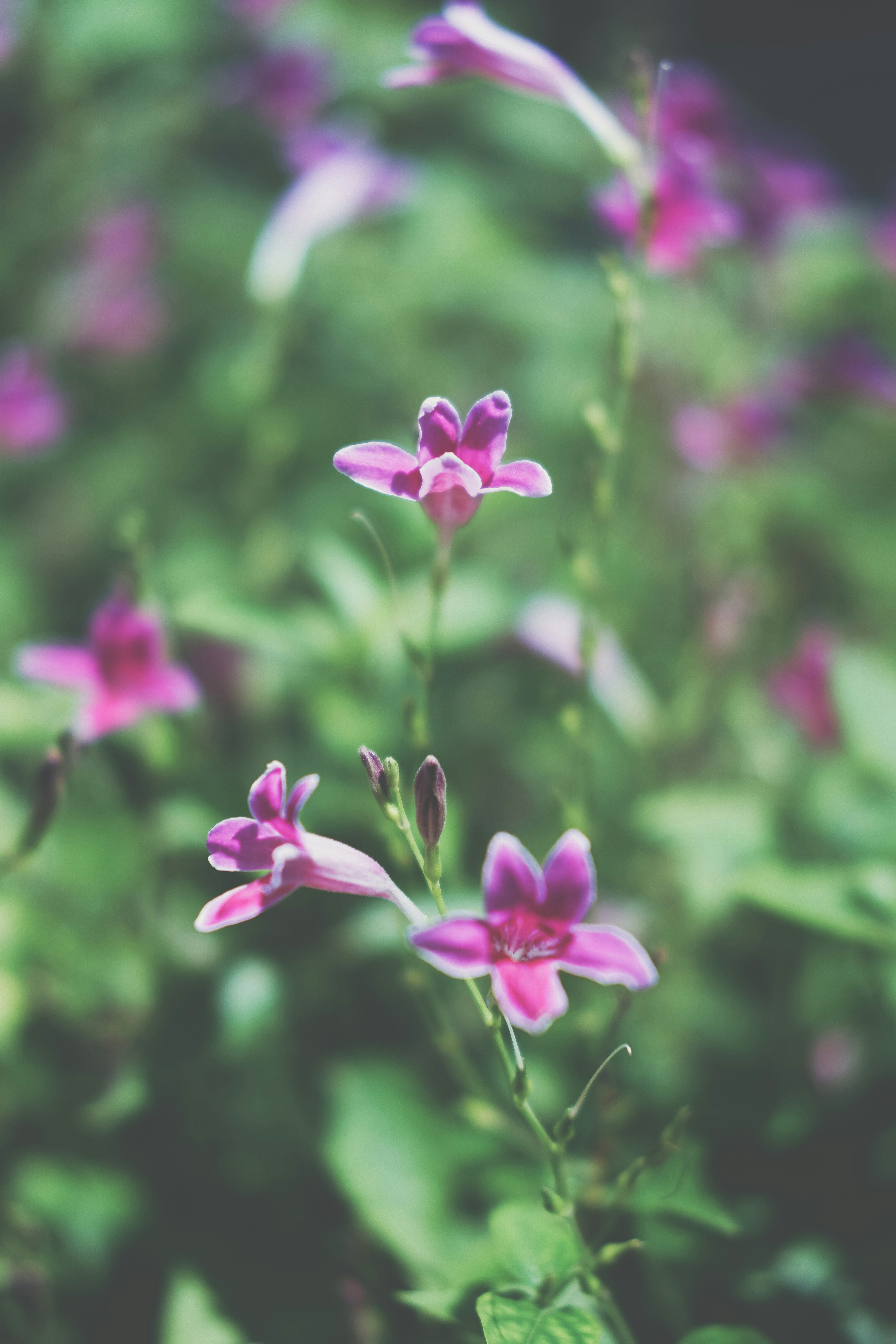 Photo by tamarasaragih