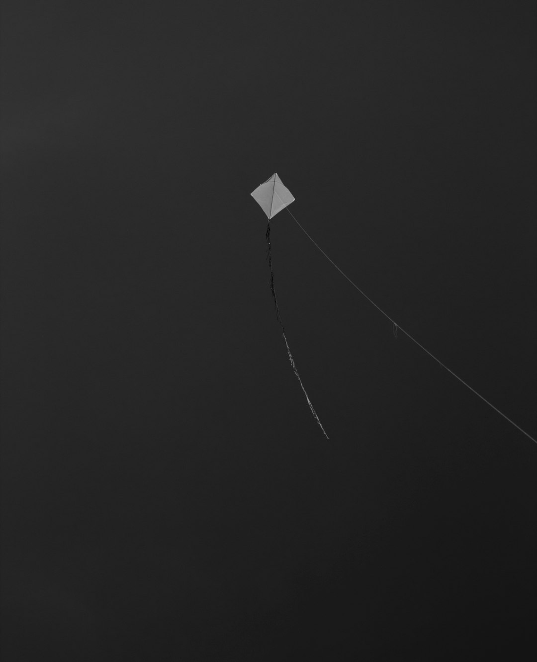 grayscale photo of white kite