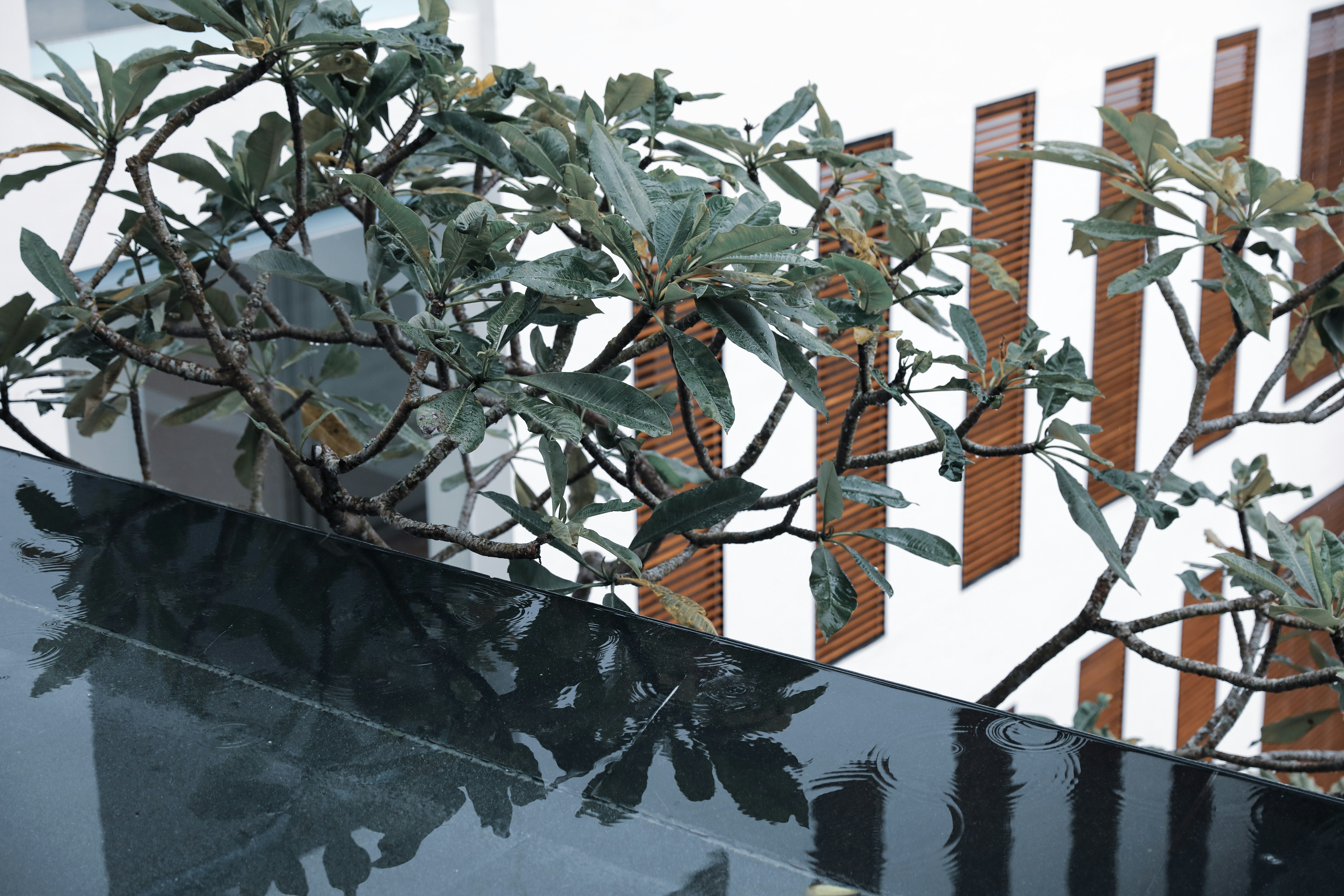 Photo by edwardyeh24