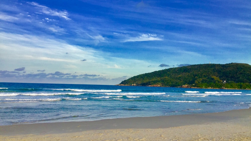 landscape photography of beach coast