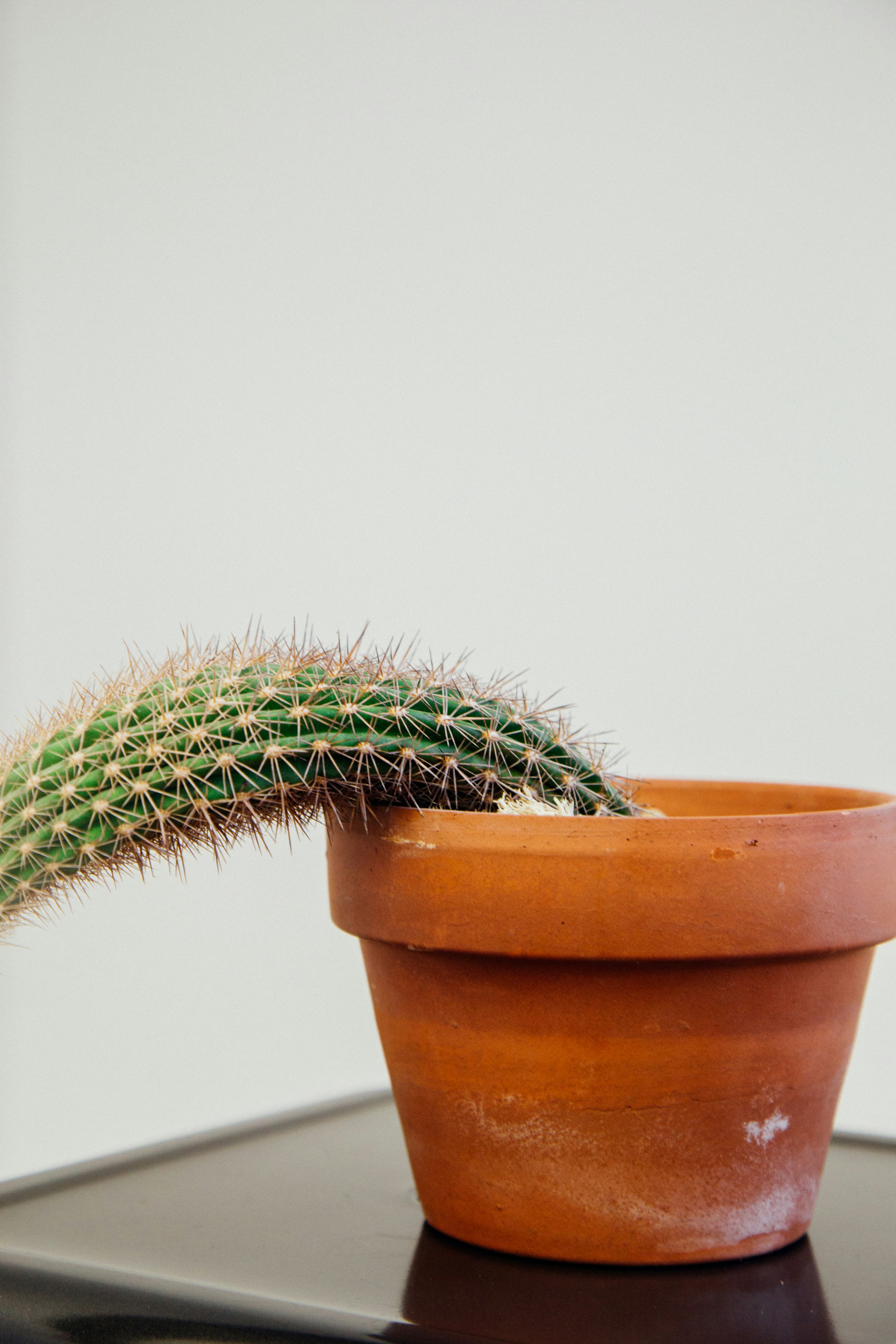 Photo by charlesdeluvio