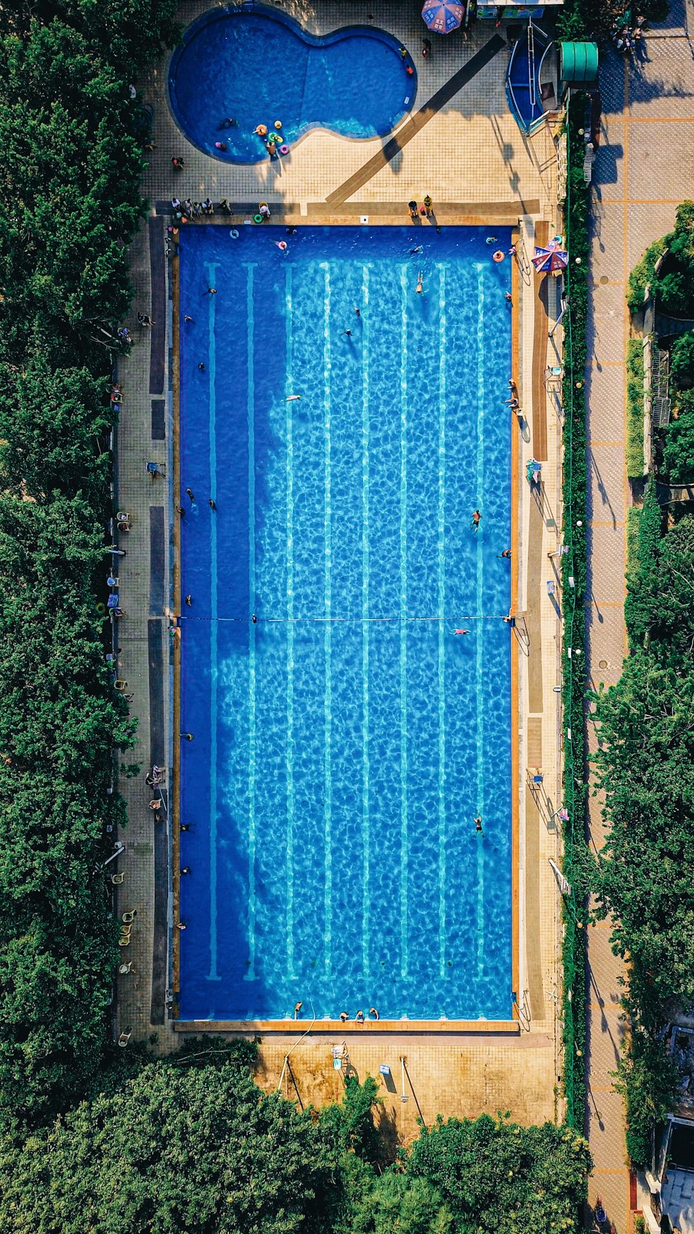 aerial photography of a rectangular swimming pool