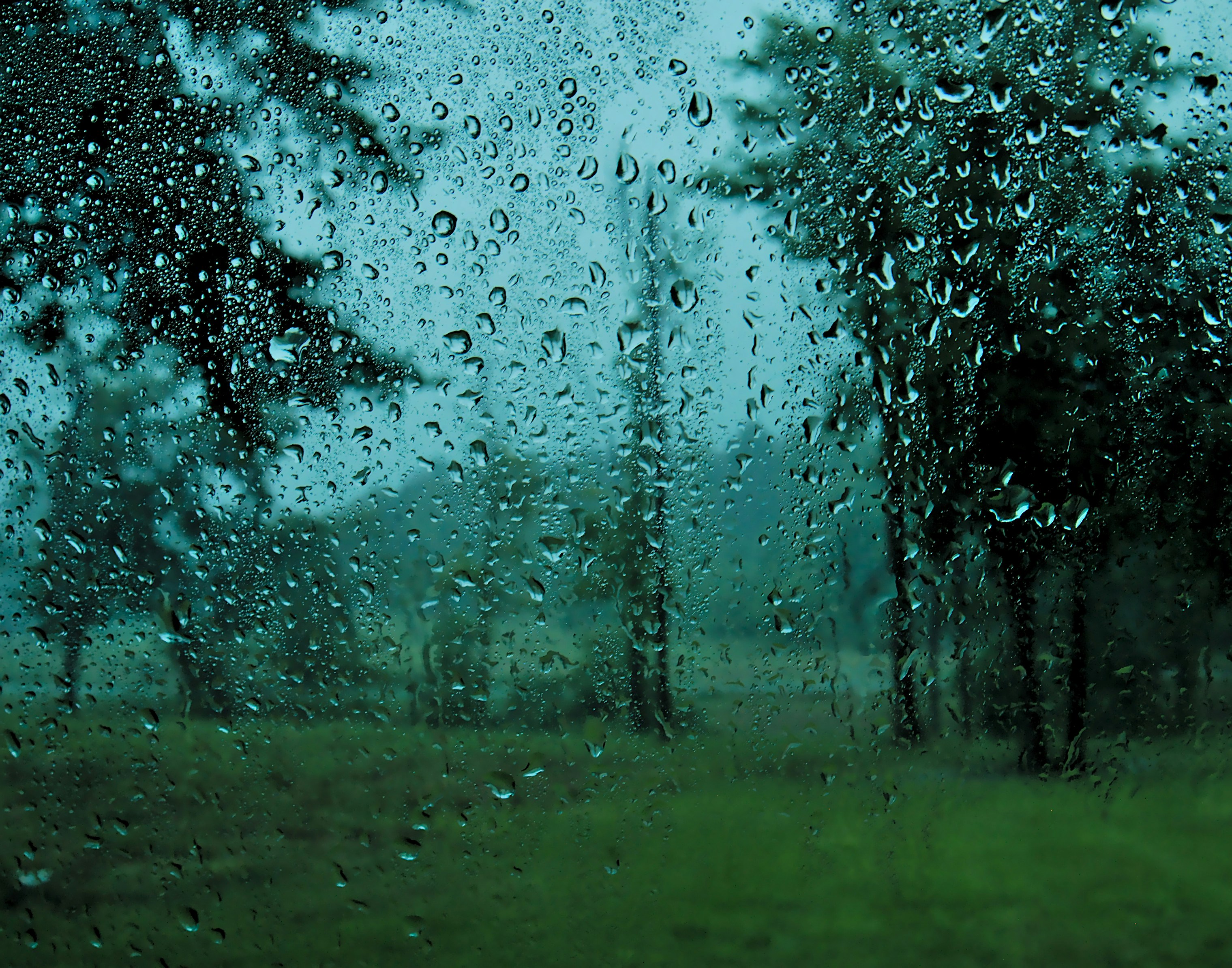 Rain On Window 15 best free window, rain, droplet and raindrop photos