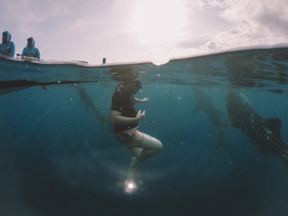 man in fish pond