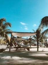 white hammock under canopy