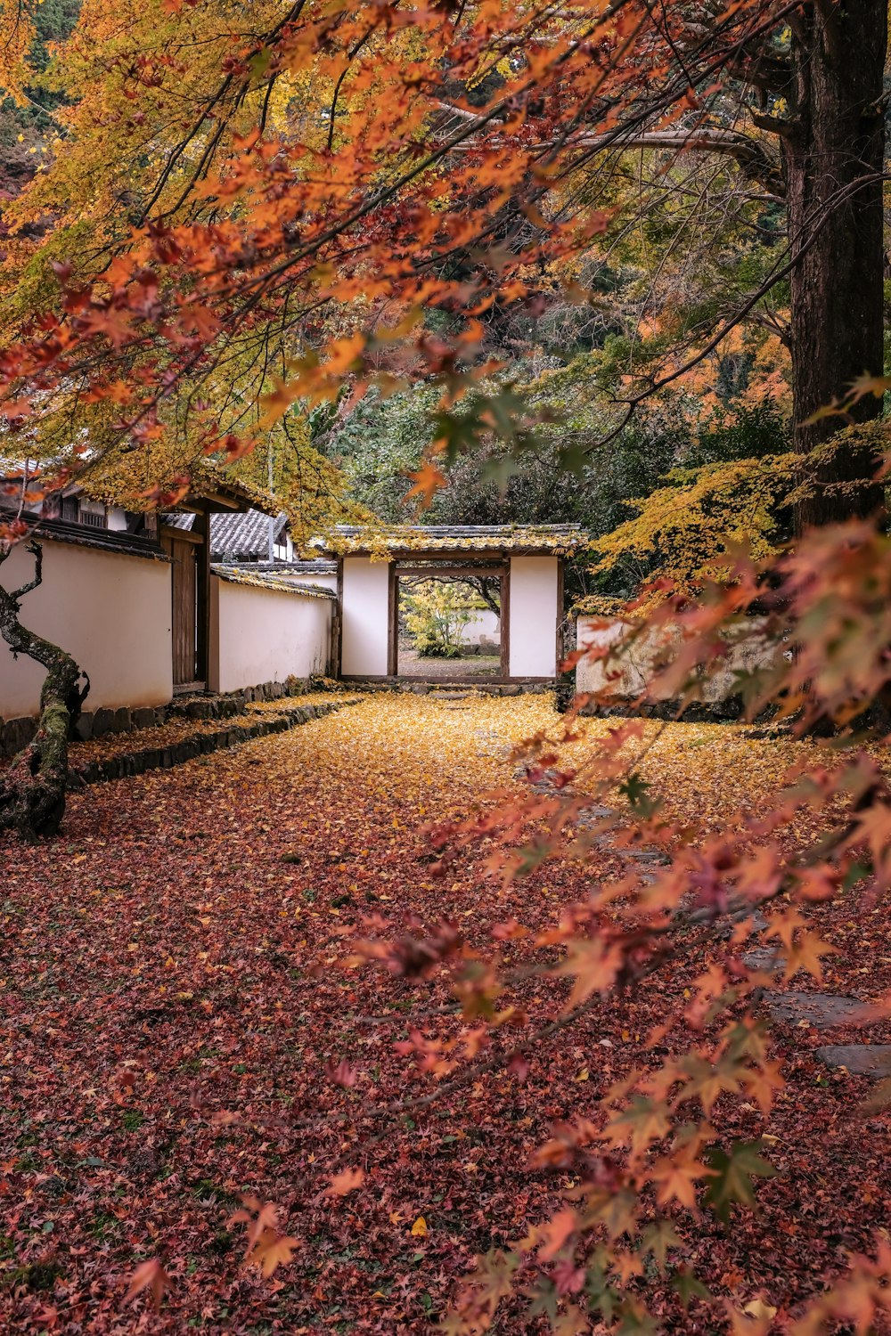 Tempel in der Nähe des Waldes