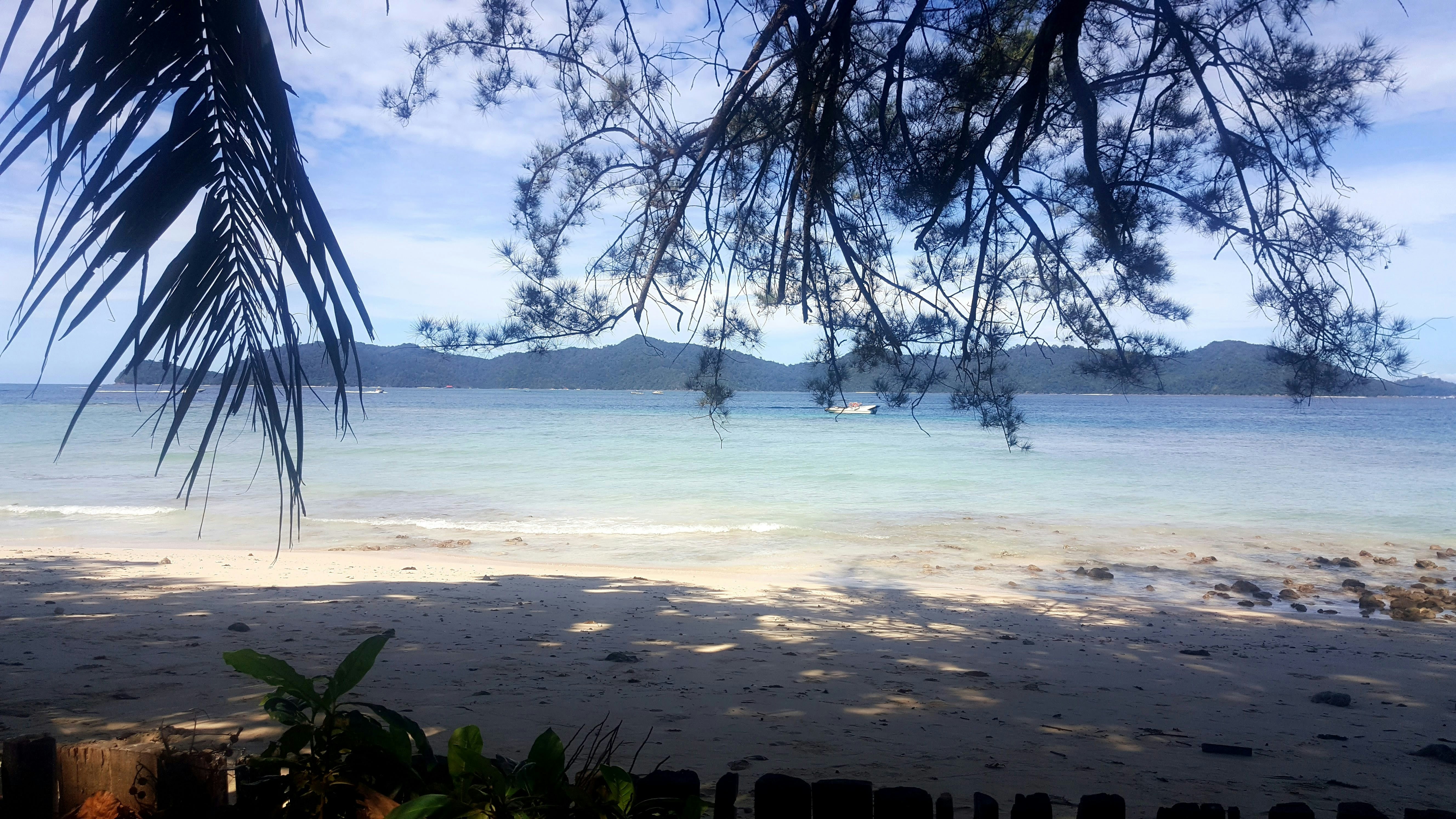 Photo by chaotic_nic