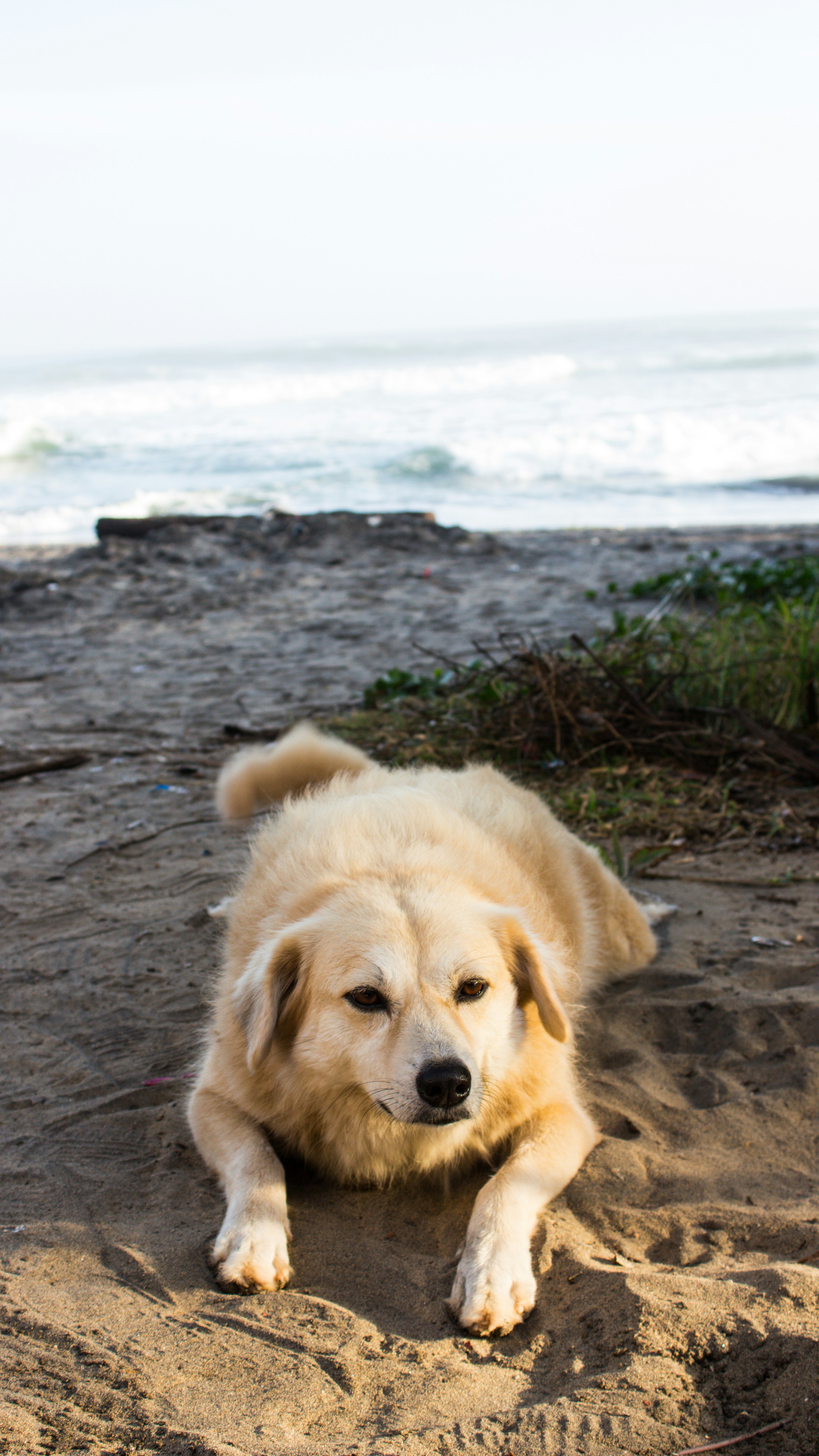 Photo by daniel_joshua_