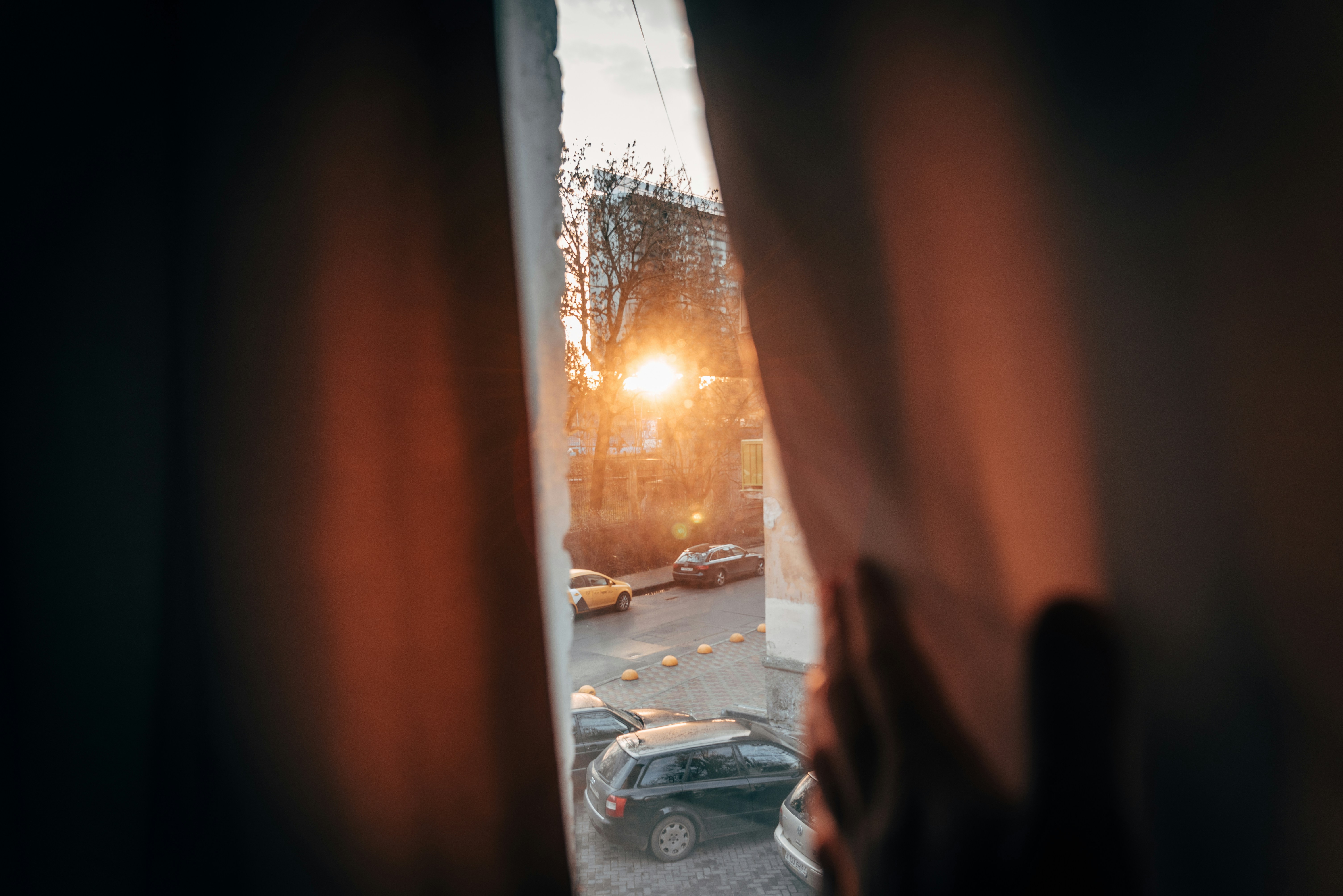 cars parked beside trees (Photo by Nick Romanov on Unsplash)
