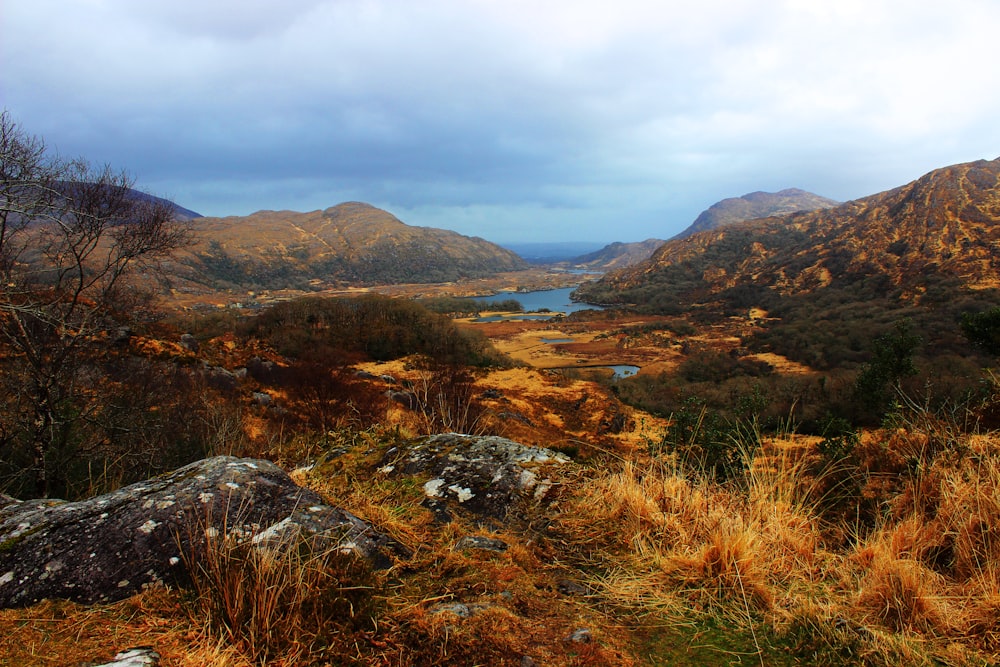 landscape near water