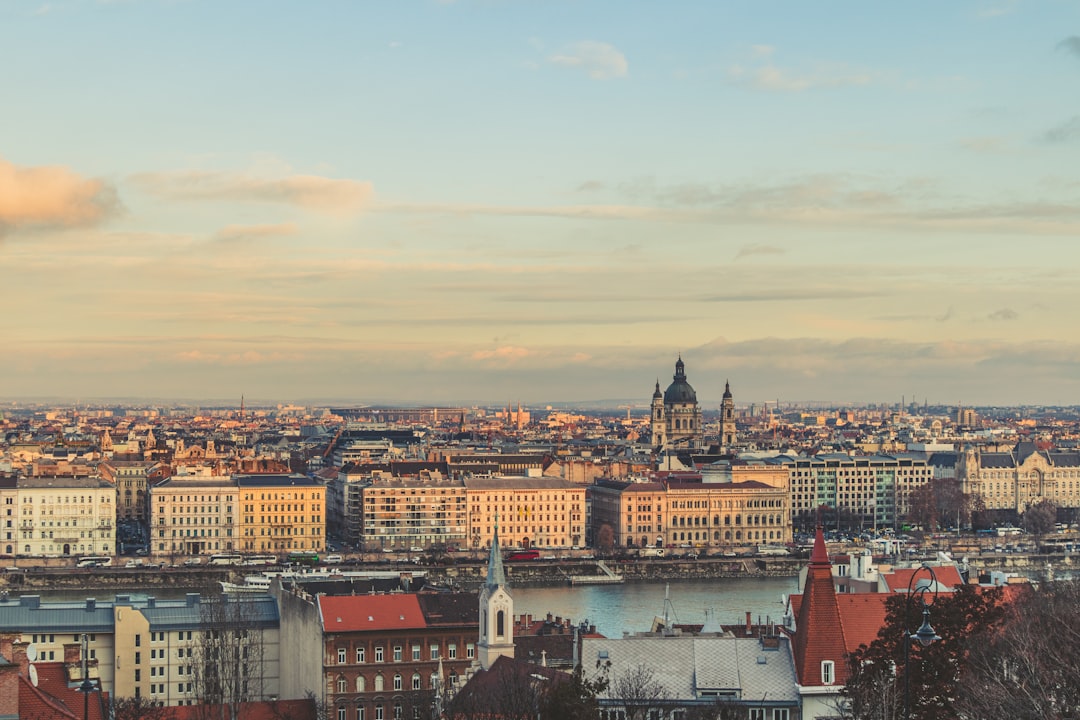 aerial photo of cityscape