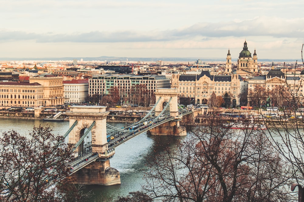 white and brown concrete bridge over river