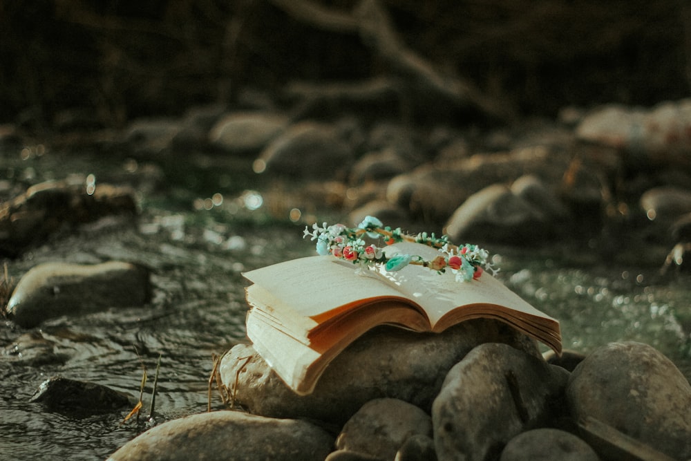 shallow focus photography of brown book