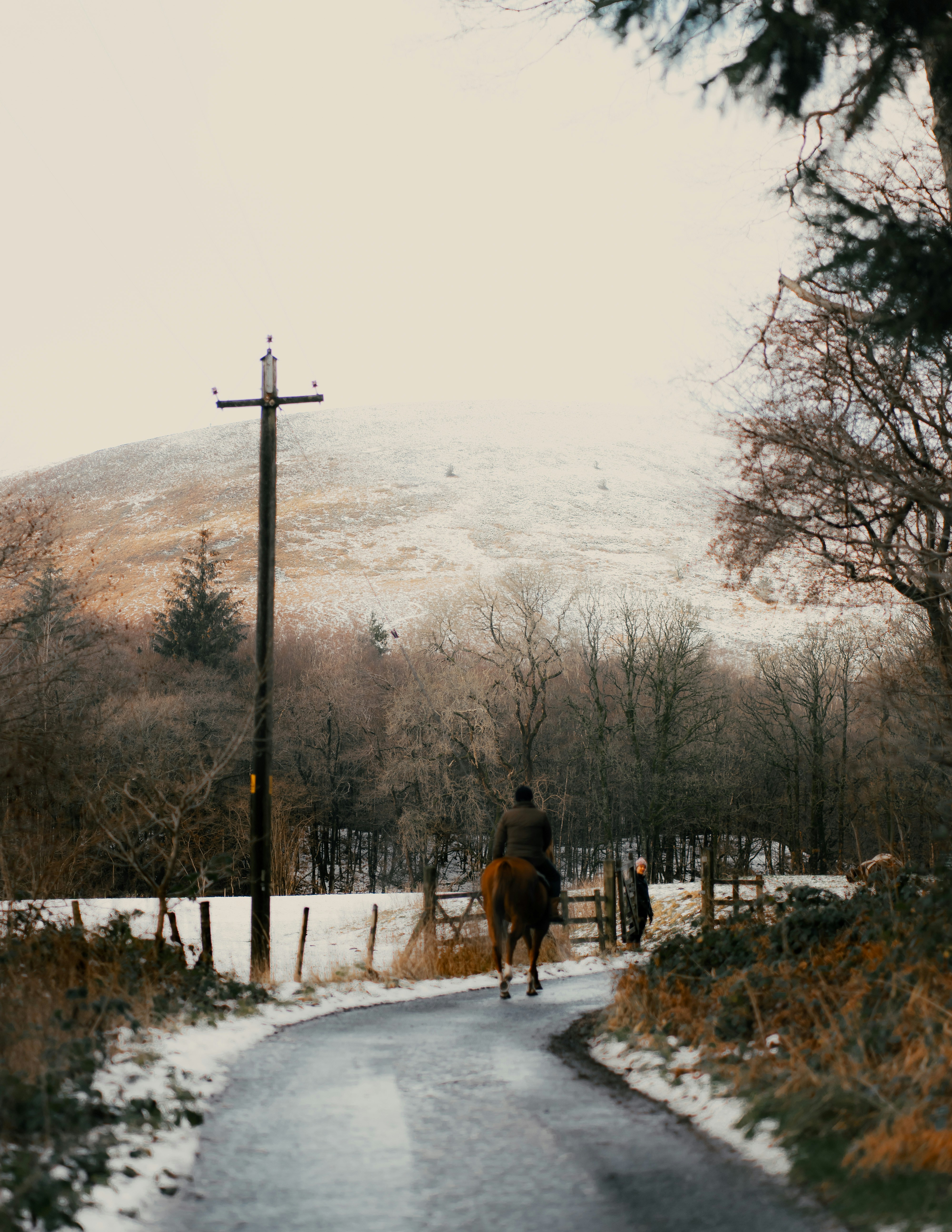 Person riding on horse
