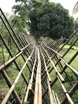 An artistic bamboo structure creates a symmetrical pathway surrounded by greenery. The bamboo poles are tied together and form a visually striking design that guides the eye through the garden setting. Trees and lush vegetation fill the background, adding a natural ambiance.