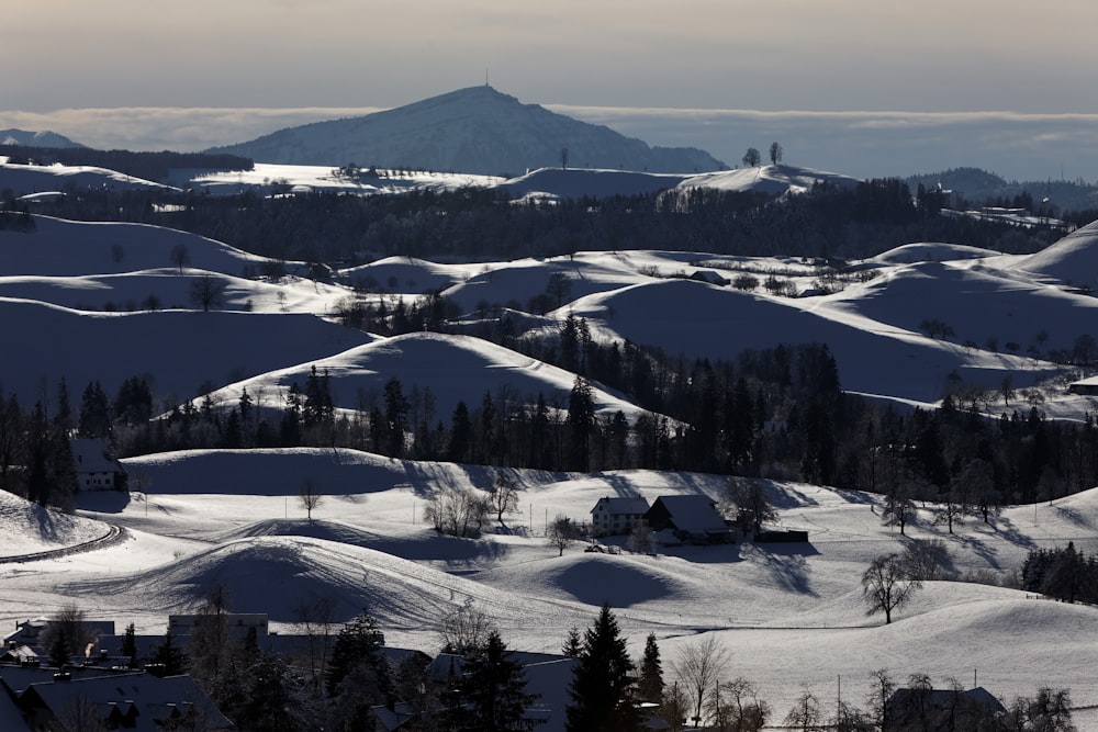 campo coberto de neve