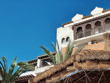 A scenic view of a Mediterranean-style building with white and terracotta colors, featuring arched windows and a thatched roof. Tall palm trees are in the foreground against a bright blue sky.