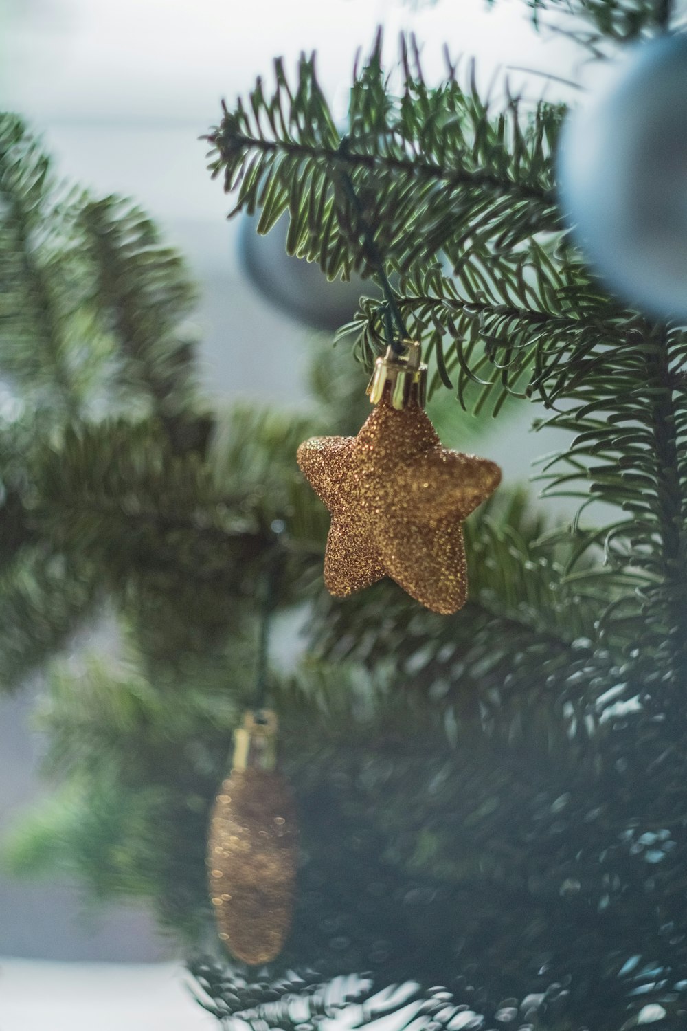brown star bauble hanged on pinetree
