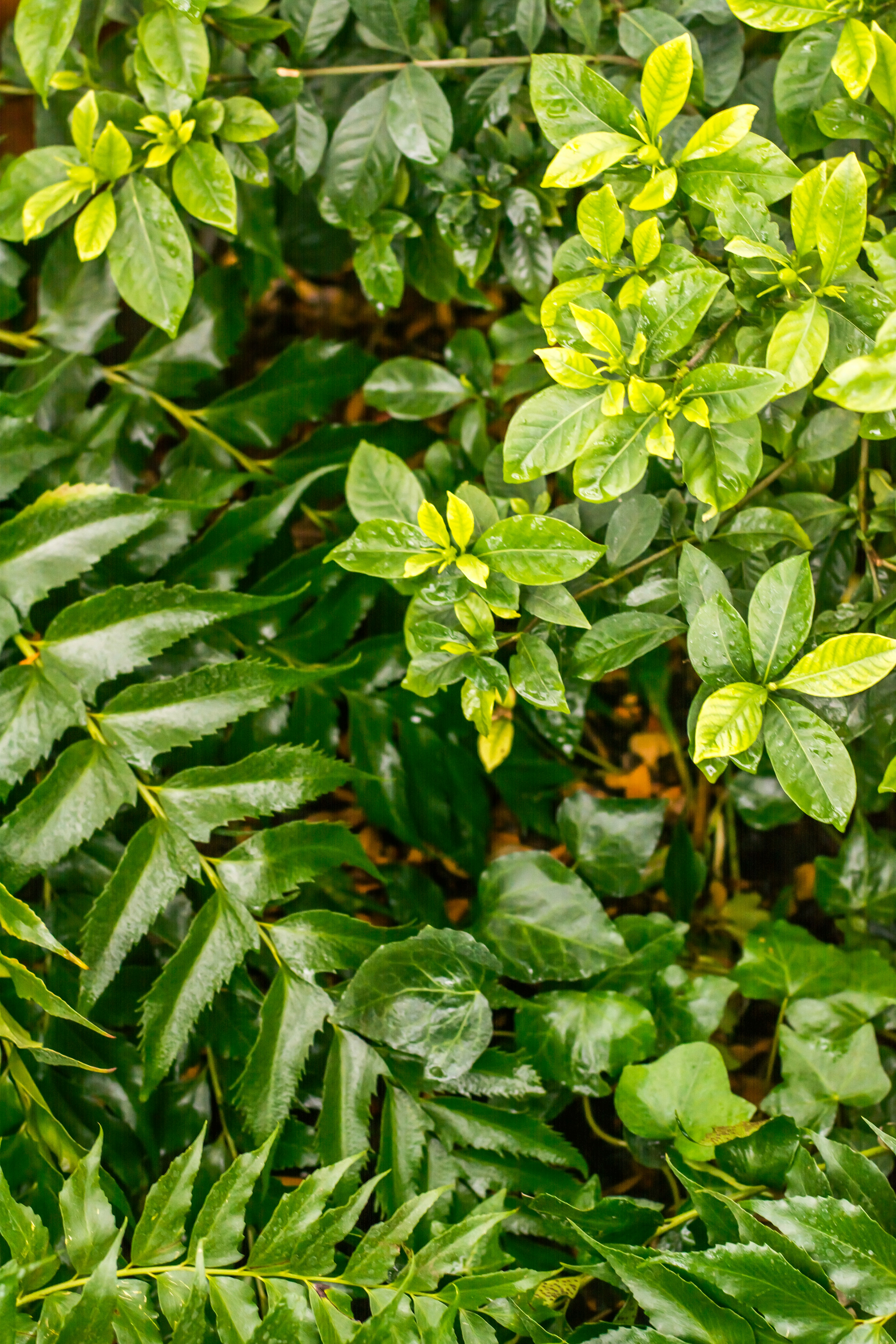 Photo by eugenivy_now