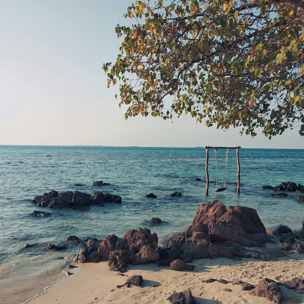 green trees on seashore