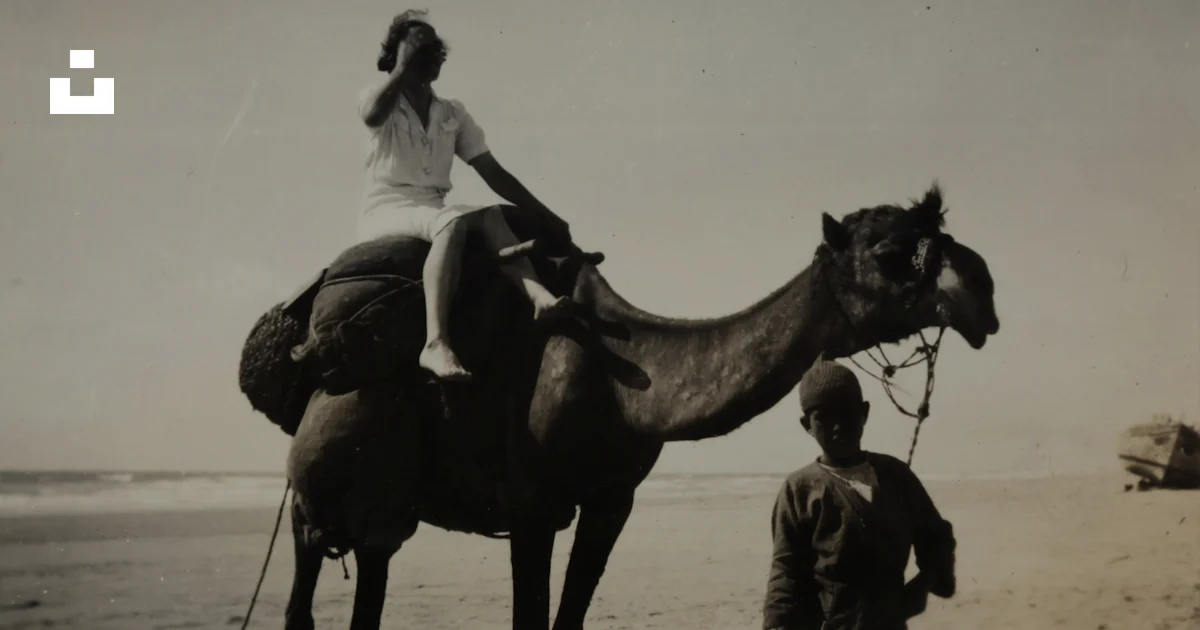 Foto Foto en escala de grises de una mujer montando camello – Imagen ...