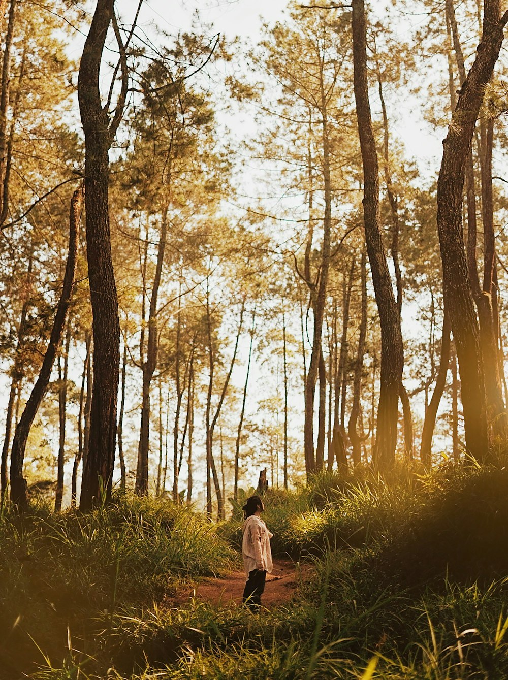 woman standing on walkway between trees