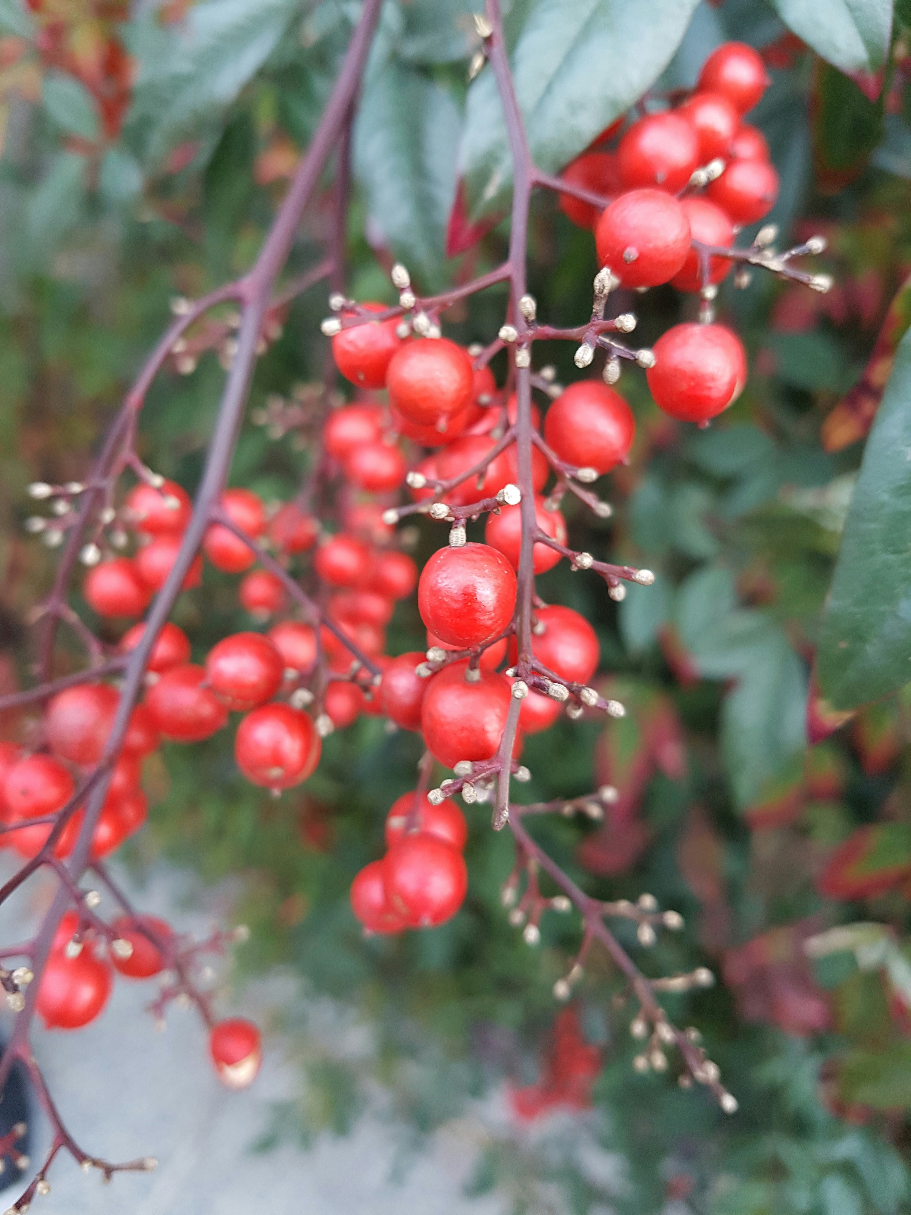 Photo by lyleesheyla