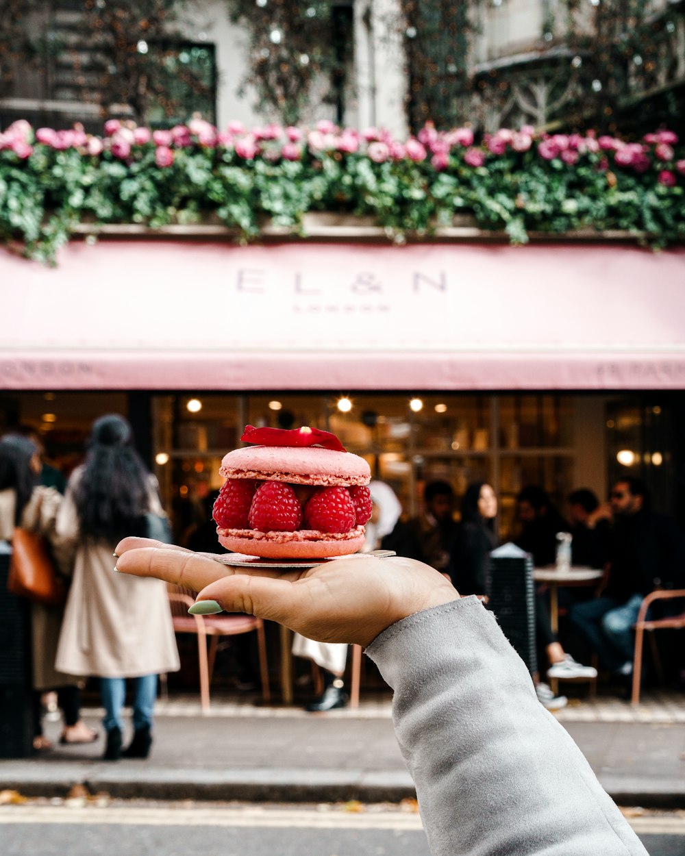 person holding berries