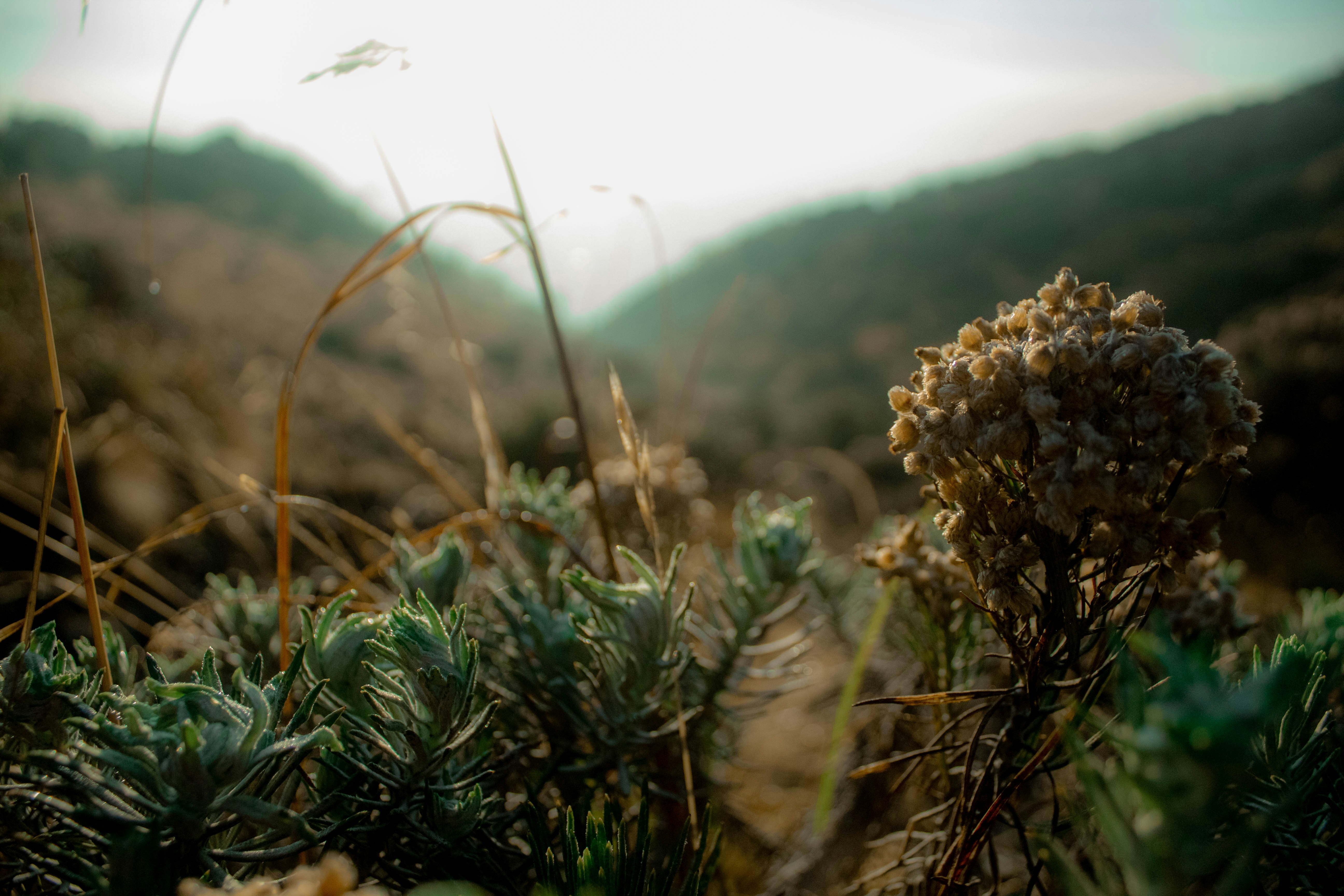 Photo by zulfikarbaharudin_