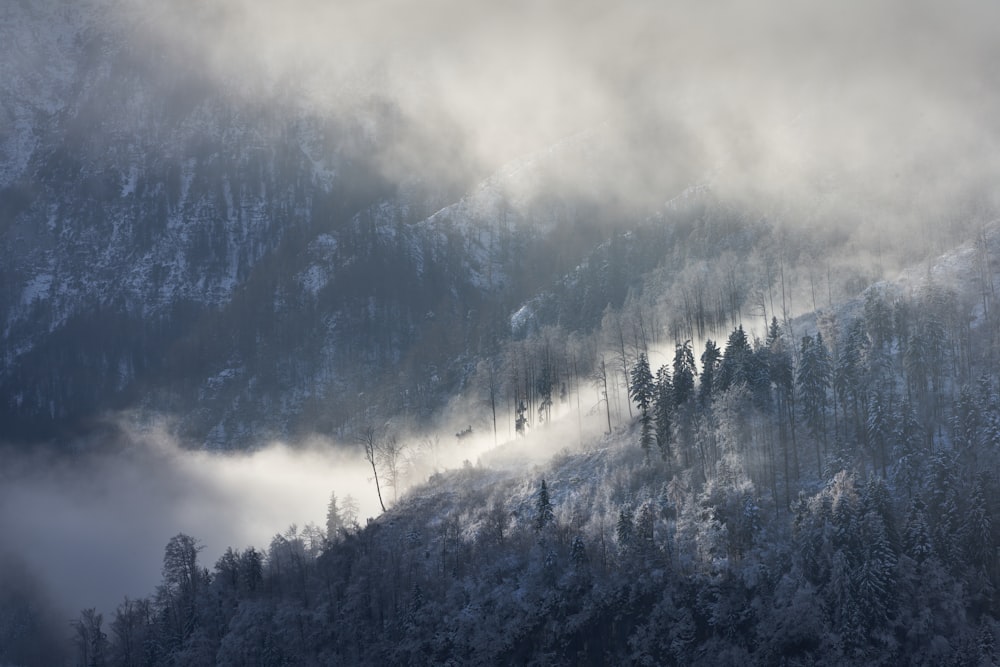 aerial photography of mountain ranges