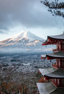 Mt. Fuji landamrk