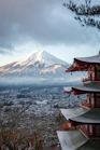 Mt. Fuji landamrk