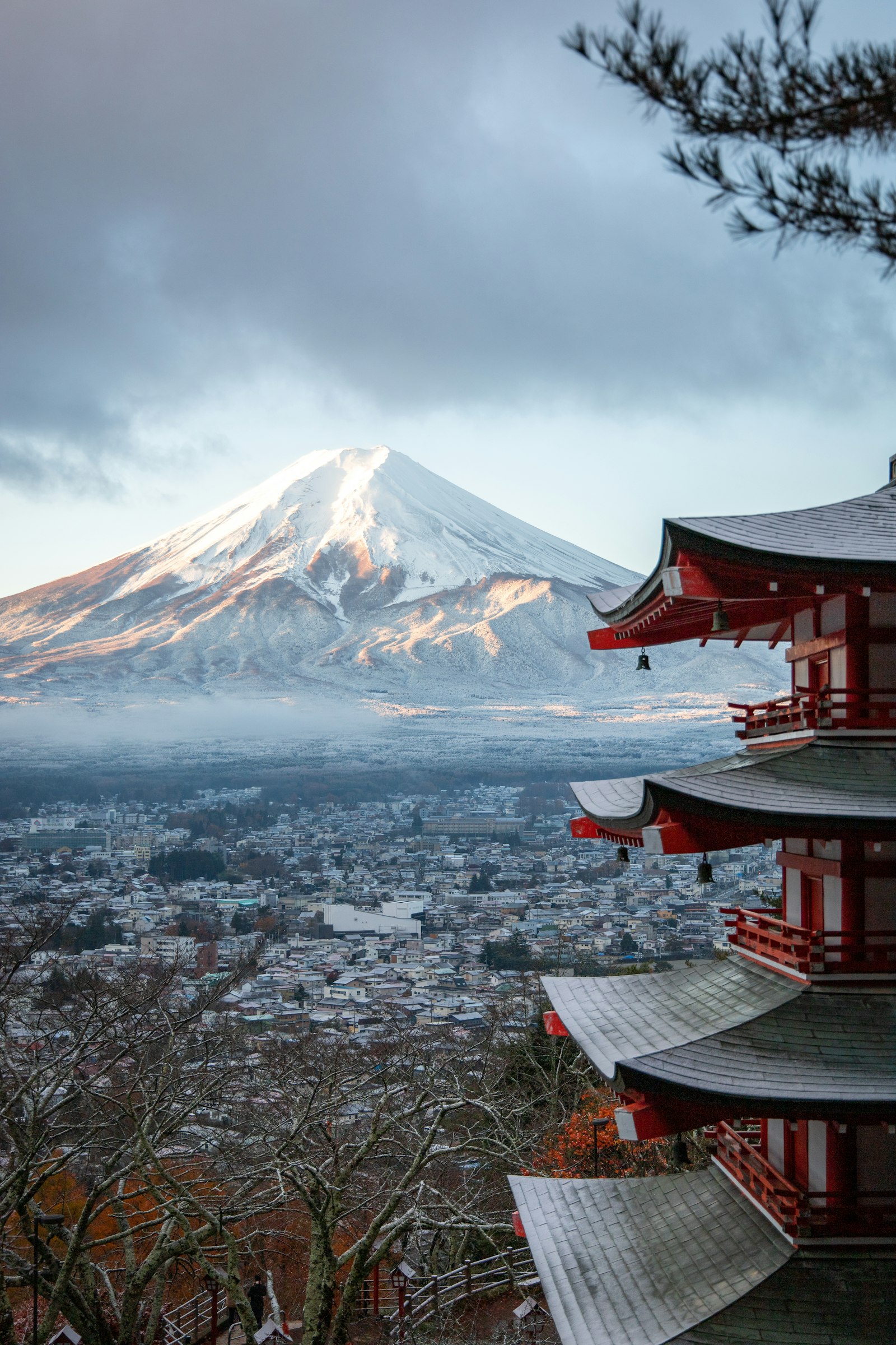 Mt. Fuji and Tea Plantation